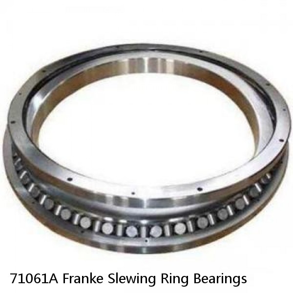 71061A Franke Slewing Ring Bearings