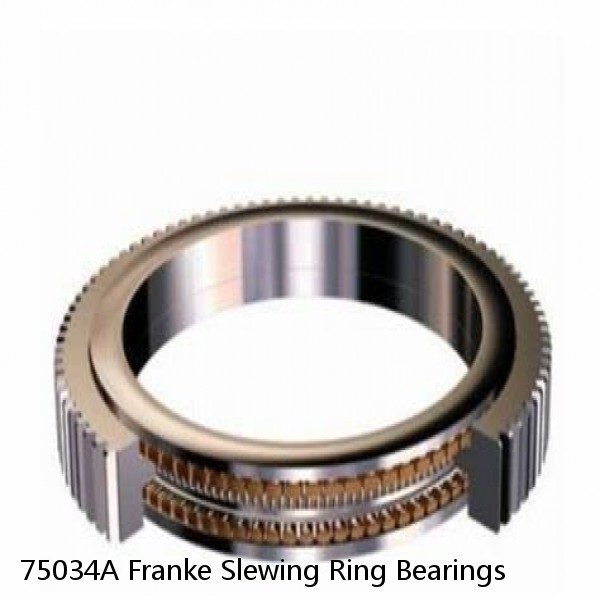 75034A Franke Slewing Ring Bearings #1 small image
