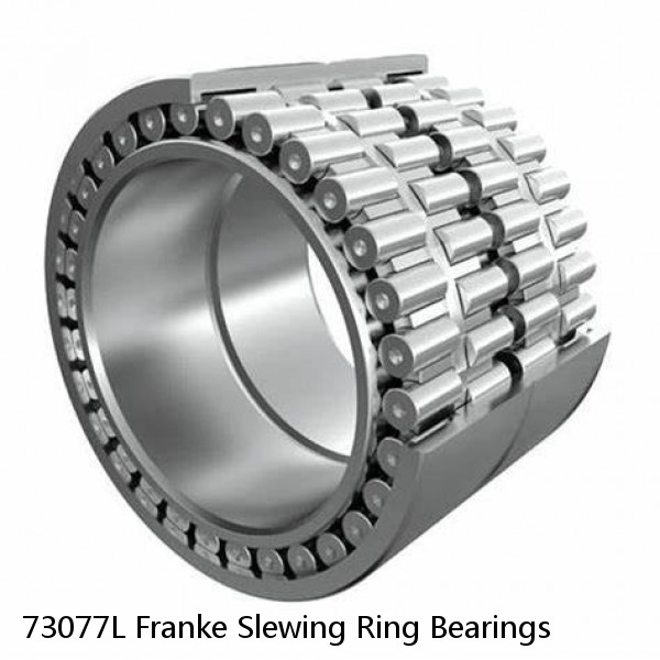 73077L Franke Slewing Ring Bearings #1 small image