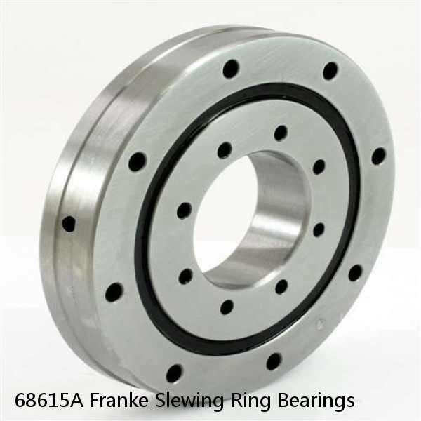 68615A Franke Slewing Ring Bearings #1 image