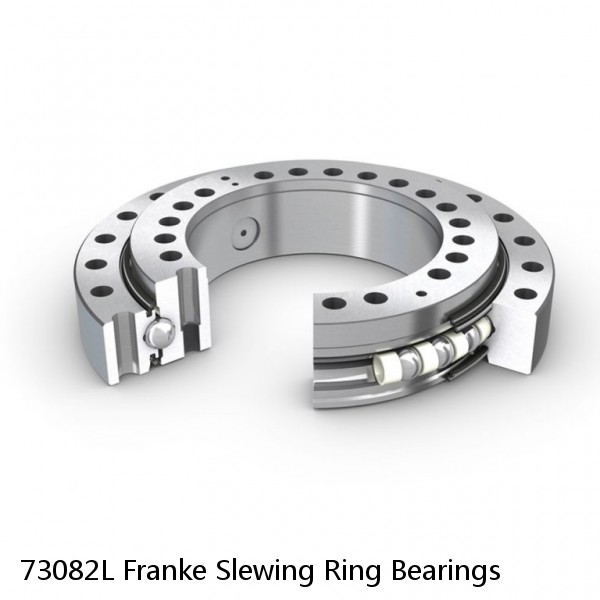 73082L Franke Slewing Ring Bearings #1 image